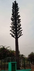 Acier au carbone de tour de palmier camouflé par obstruction de télécommunication