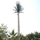 L'immersion chaude de tour unipolaire en acier de palmier de télécommunication a galvanisé