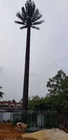 Tour camouflée de palmier de pin de communication taille de 0m - de 80m