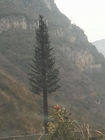 Acier Q235B de tour de télécom de palmier de pin camouflé par mât d'antenne