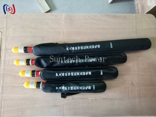 Électroscope professionnel de 10 à 500 KV pour la détection des charges électriques