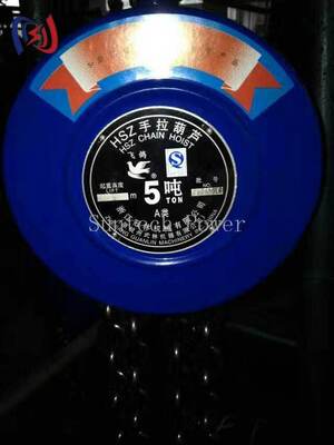 Palans manuels à chaîne fiables avec charge nominale de 5 à 200 kN, système d'engrenage de précision et frein de charge automatique pour le levage de charges lourdes