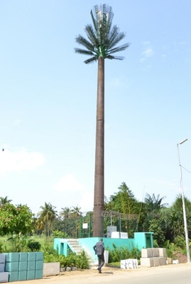 Tour en acier galvanisée d'antenne artificielle d'arbre d'immersion chaude pour la télécommunication